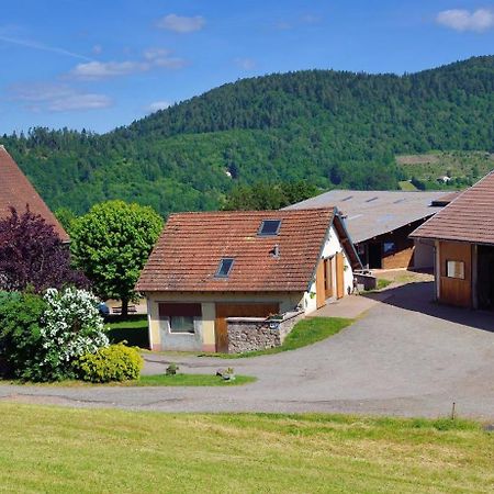 Chambres D'Hotes Hebergement F.Mathieu Saint-Maurice-sur-Moselle Exterior foto